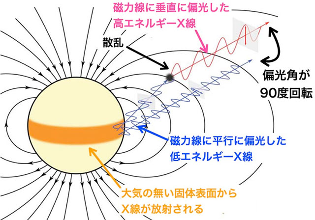 マグネターのX線が偏光するメカニズム