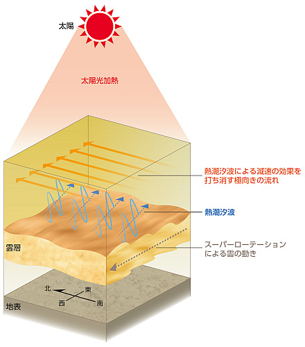 熱潮汐波により南北循環が励起されることのイメージ図