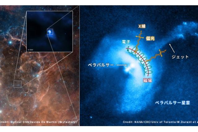 ほ座パルサー星雲のX線偏光は、かに星雲の2倍以上 - アストロアーツ