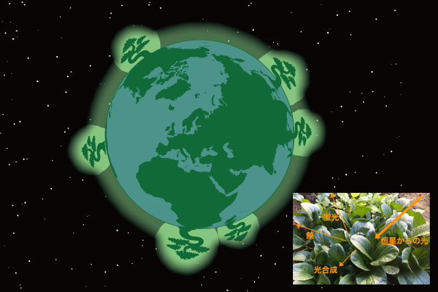 植物が蛍光を発する惑星のイメージ図