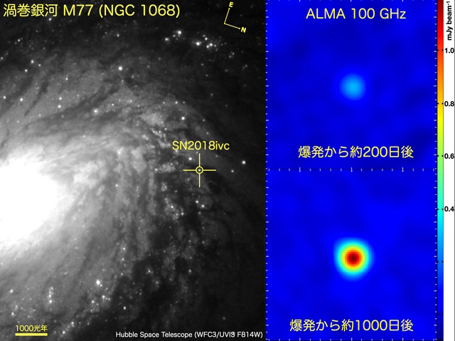 爆発から約200日後と約1000日後の超新星SN 2018ivc