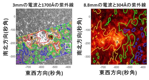 「SDO」が観測した紫外線の太陽画像上に等高線で電波の明るさを表示したもの