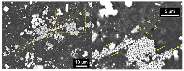 リュウグウ粒子中に見られる断層組織の走査電子顕微鏡像