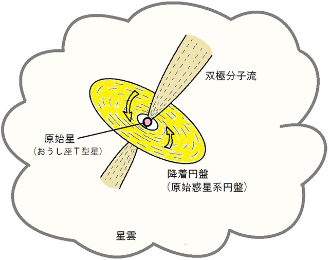 おおかみ座EX型星の想像図