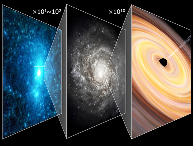 ダークマターハロー、銀河、ブラックホールの相互関係