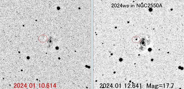 きりん座の新天体