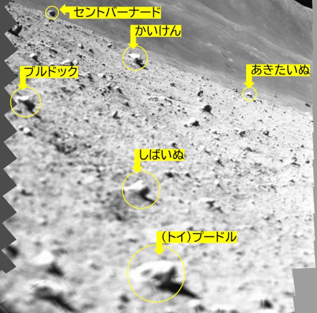 岩石の愛称