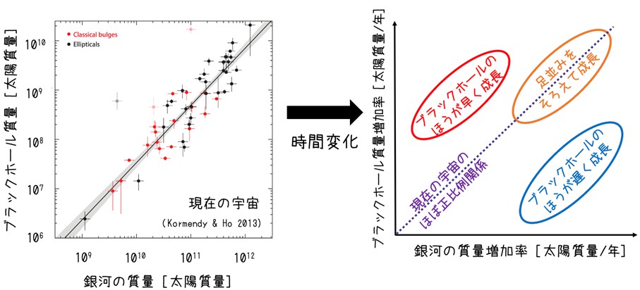 銀河とSMBHの質量