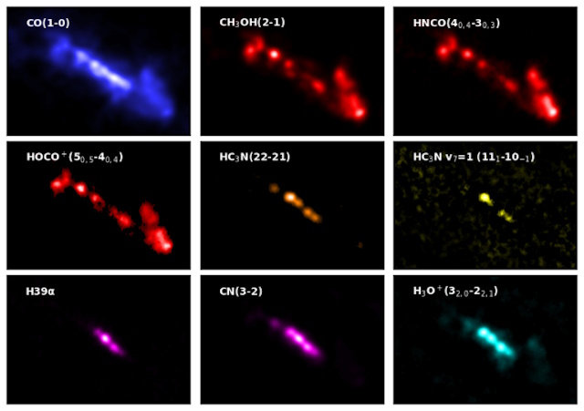 NGC 253中心部における種々の分子種の分布図