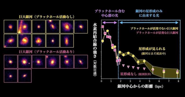 原始銀河団でブラックホール活動により一斉に活動を停止した銀河