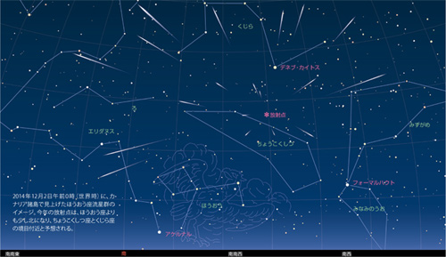 カナリア諸島で見るほうおう座流星群のイメージ