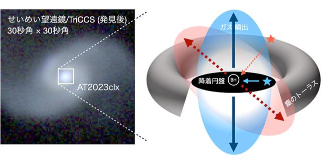 潮汐破壊現象の偏光観測により、銀河中心の特異な構造を解明
