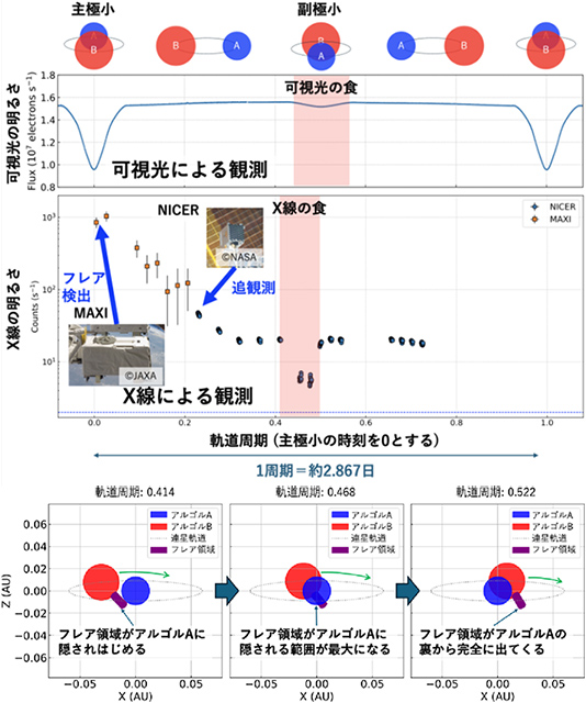 減光の模式図、MANGAによる観測、フレア食の説明