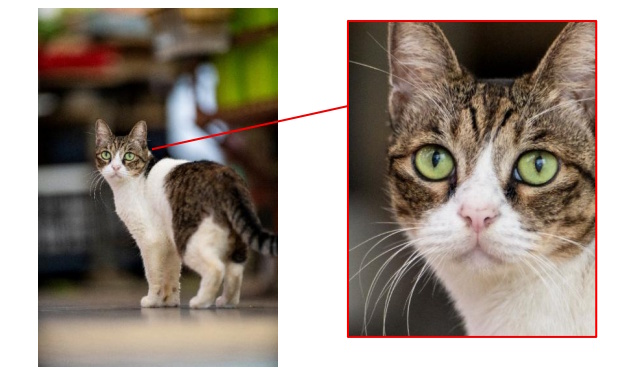 優れた描写性能