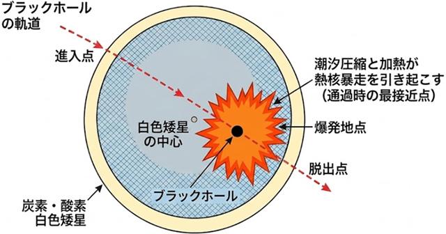 Ia型超新星爆発を引き起こす原始ブラックホールの兆候を解明