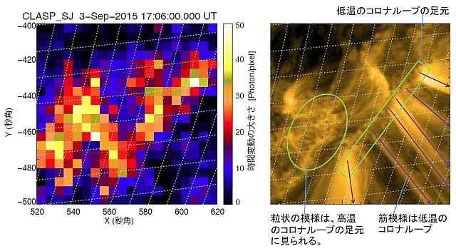 彩層での速いスケールの時間変動のマップとNASAの太陽観測衛星「SDO」がとらえたコロナループ