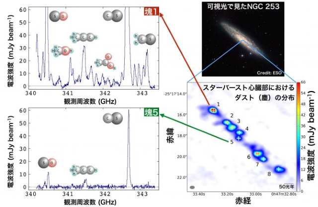 NGC 253の中心部の電波強度画像とスペクトル、環境が異なる塊の比較