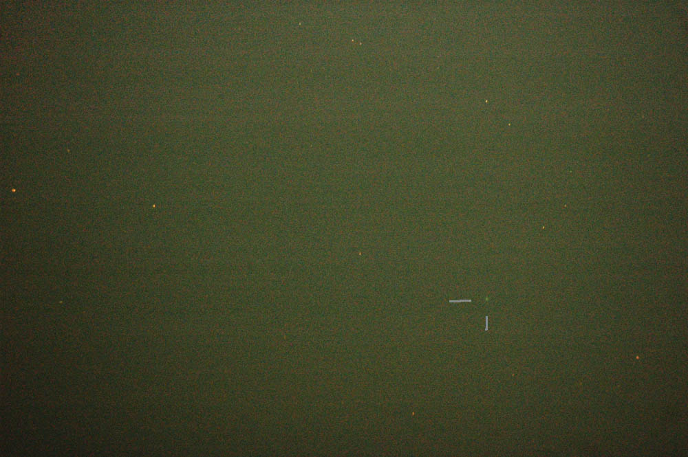 ロニオス彗星（C/2007 F1） 投稿画像ギャラリー（No. 1）