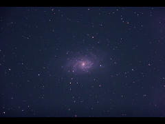 M33