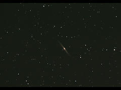 NGC4565