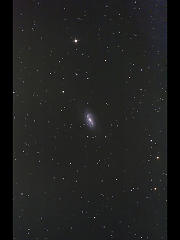 NGC2903