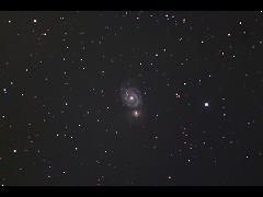 M51