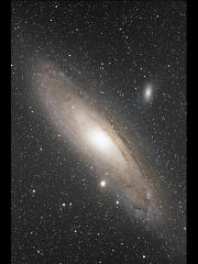 M31