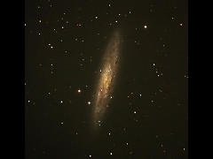 NGC253