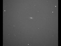 SUPERNOVA 2007gi IN NGC 4036