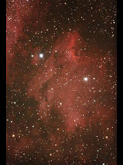 ペリカン星雲（IC5067-70）