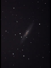 NGC253