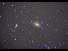 M81/82