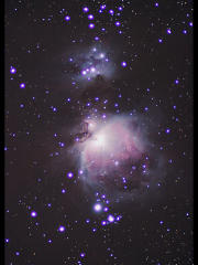 M42