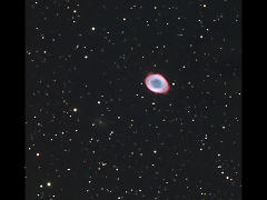 M571