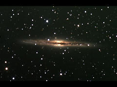 NGC891