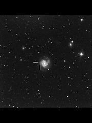 SN 2008in IN M61