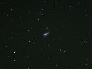 NGC 4490μ̿