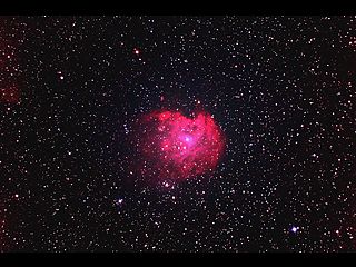 （NGC 2174 モンキー星雲の写真）
