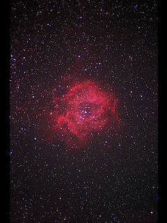 （NGC 2237 ばら星雲の写真）