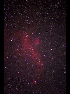 （IC 2177 わし星雲の写真）