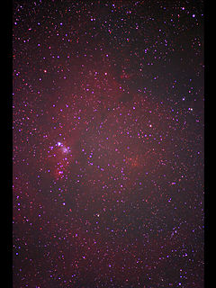 （NGC 2264の写真）