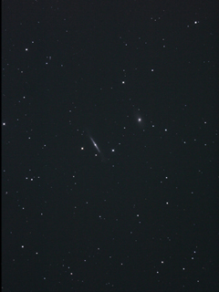 （NGC 4754, 4762の写真）