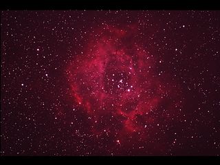 （バラ星雲の写真）