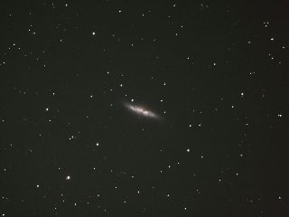 M81μ̿