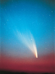 ウェスト彗星の写真