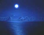Blue Moon，Blue Night／川口　勉（兵庫県西宮市）