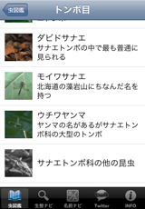〜科のその他の昆虫カード 〜科のその他の昆虫カード
