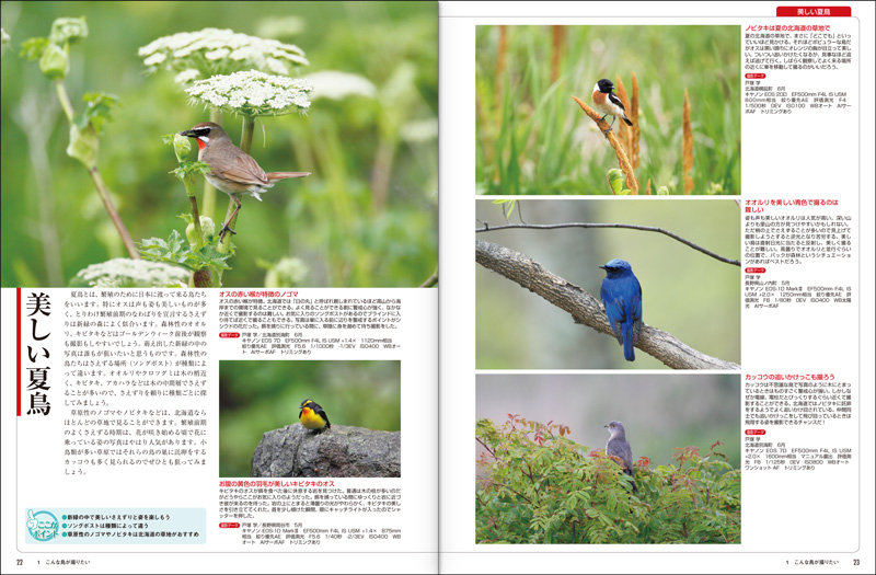 デジタルカメラ野鳥撮影術 プロに学ぶ作例 機材 テクニック