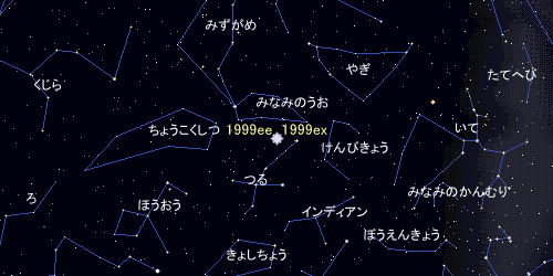 SN 1999ee and SN 1999ex