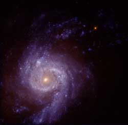 星生成渦巻き銀河 NGC3310